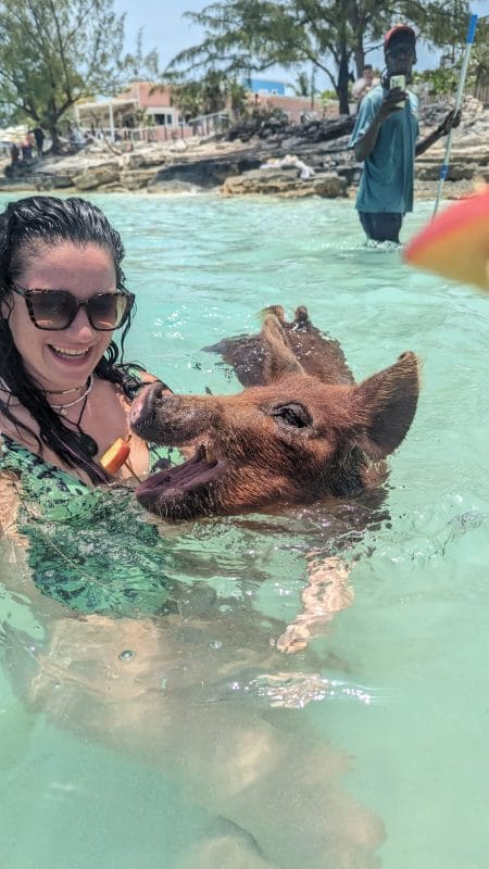 woman feeding animal apples at sea